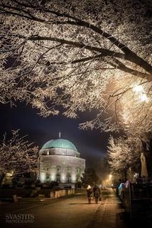 Downtown Studio Apartman - 8