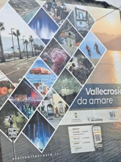 Sandra Camporosso - 7