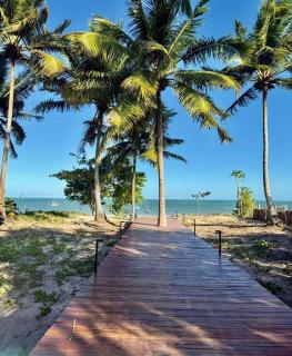 Beira Mar Porto de Pedras Tatuamunha Palm 10 - 3