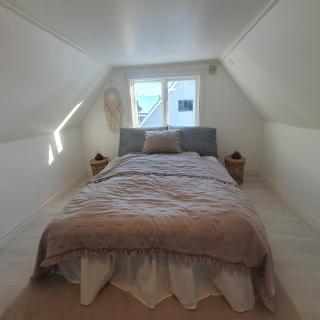 Stuga på hästgård - 5