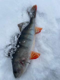 Hiekkaranta Holiday Home - 5