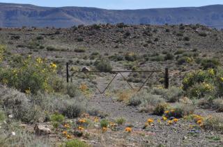 Karoo Farm Homestead Stay near Beaufort-Wes at Tamboershoek - 8