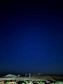 White Desert Safari - 1