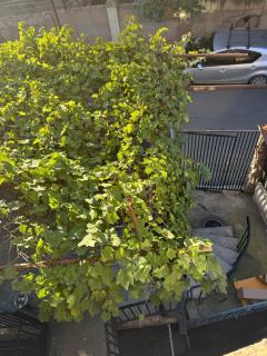 Nest Stay - 4