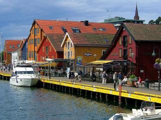 Urban comfort, 3BR with free parking in the heart of Tønsberg - 7