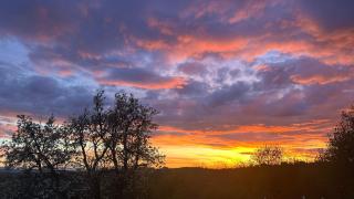 Kosmaj-Suncani Breg - 4