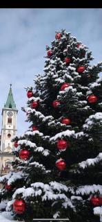 Apartment in the city center - 8