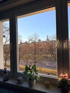 Dresden Altstadt - 7