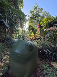 Pequeno Paraíso - 2