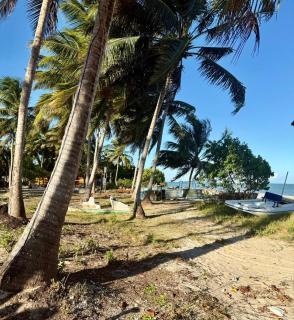 Beira mar Porto de Pedras Tatuamunha Tuchá - 4