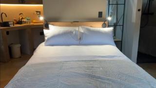 Seid Manor Wellness and Healing Retreat - 8