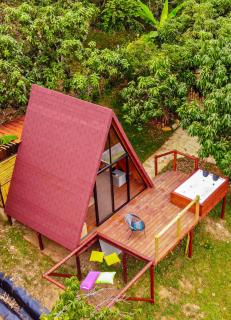 Glamping Entre Mangos - 9