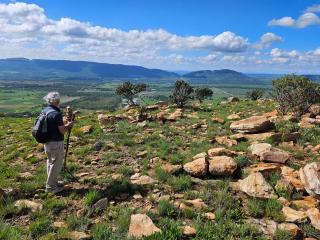 Seid Manor Wellness and Healing Retreat - 5