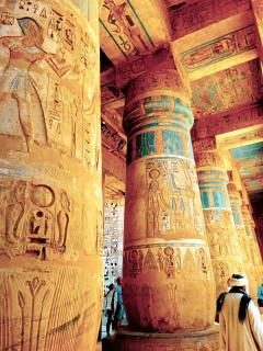 Susan's Guest House and Tours - 9