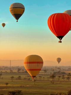 Susan's Guest House and Tours - 8