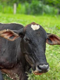 Tranquilidade, belezas naturais - Família e Amigos - 6