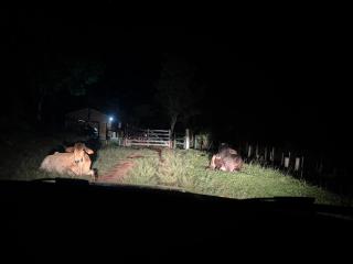 Tranquilidade, belezas naturais - Família e Amigos - 5