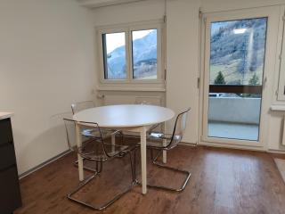 Big studio, just renovated, great views, with free parking - 6