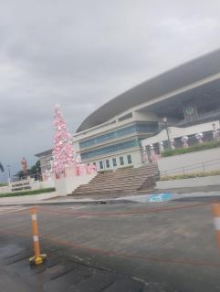 Macjims Rest House - 3