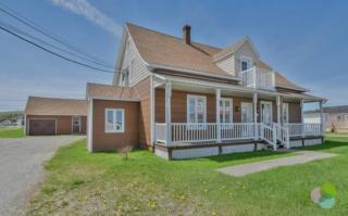 La belle ancestrale - 0