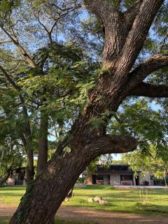 Loto San Lorenzo Loft l Piscina & Naturaleza - 9