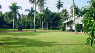 Dark Green Resort - 6