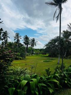 Dark Green Resort - 5