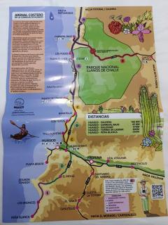 Oasis y canto de pájaros Piedra Colgada Copiapó - 2