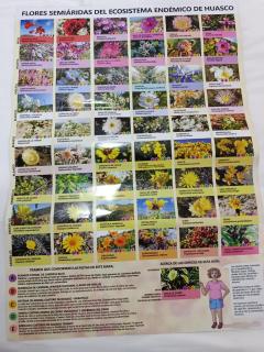 Oasis y canto de pájaros Piedra Colgada Copiapó - 3