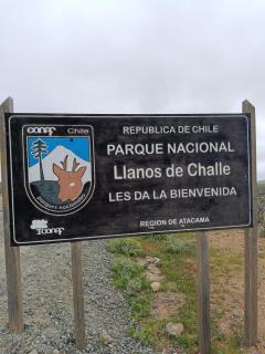 Oasis y canto de pájaros Piedra Colgada Copiapó - 4