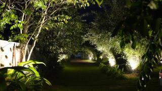 Dark Green Resort - 1