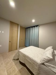 Departamentos paseo imperial san Miguel de Allende - 3