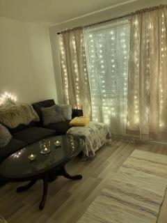 Sweetlapland homes - 9