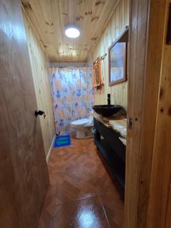 Hostal Aves del Sur Coñaripe - 3