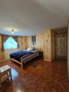 Hostal Aves del Sur Coñaripe - 3