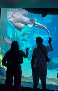 Liza Luxury Holiday Apartment Oceanic 44 - 1