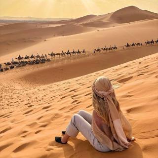 Under 1000 Stars Camp - 4