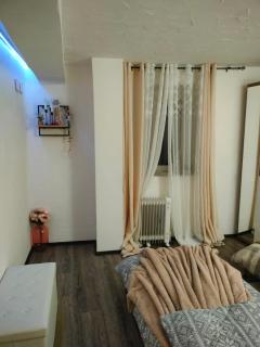 Glamorous flat in Mertzwiller - 1