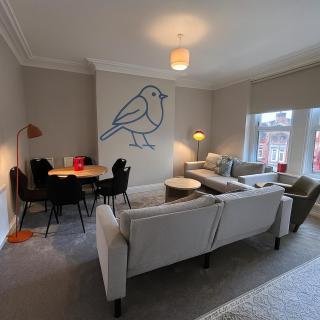 The Bluebird B&B III - 0