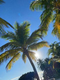 studio vue mer sur sainte-anne tiborddemer - 5