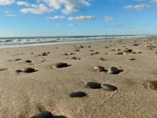 8 person holiday home in Nørre Nebel - 7