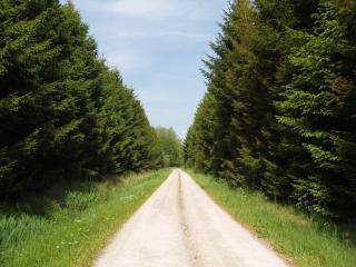 6 person holiday home in Sæby-By Traum - 7