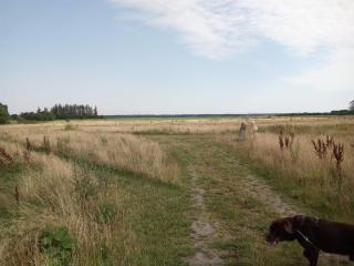 6 person holiday home in Sæby-By Traum - 9