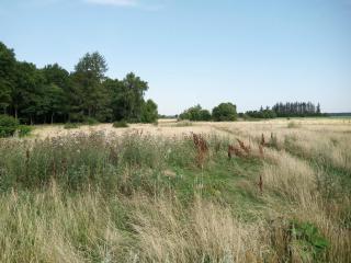 6 person holiday home in Sæby-By Traum - 8