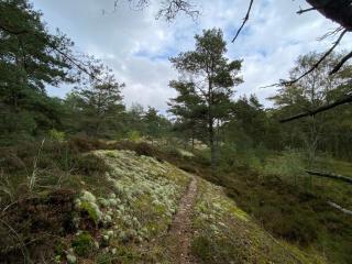 6 person holiday home in Hadsund-By Traum - 2