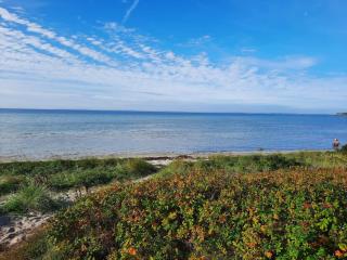 7 person holiday home in Jægerspris-By Traum - 1