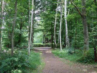 7 person holiday home in Jægerspris-By Traum - 5