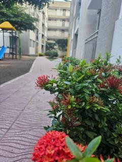 Apartamento Galanni 201 - Mirador del Valle - 4