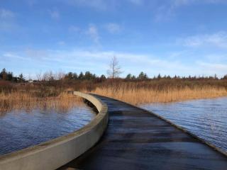 Tranquil Oasis in Henne Strand-By Traum - 7