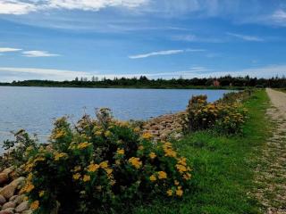 Tranquil Oasis in Henne Strand-By Traum - 6